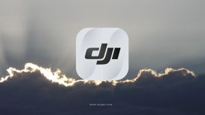 download dji fly app